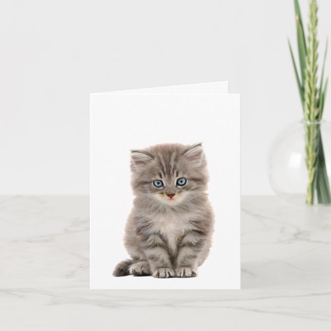 Grey Kitten Note Card (Front)