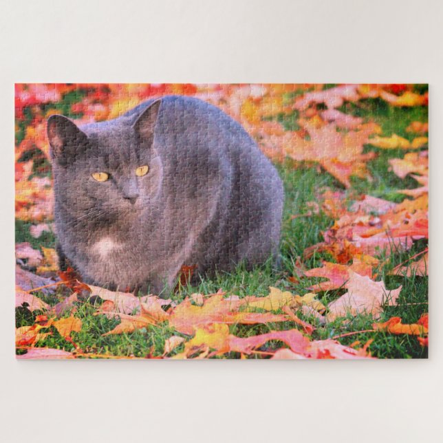Grey Kitty Cat Jigsaw Puzzle (Horizontal)