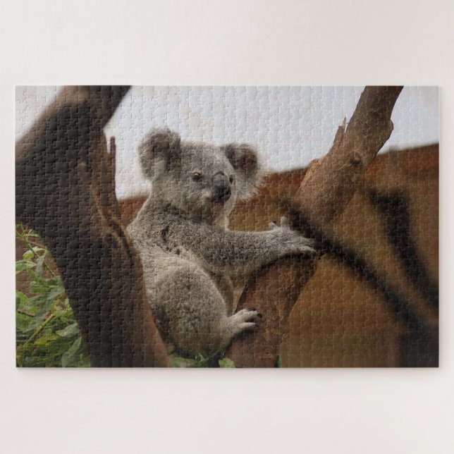 Grey koala bear on a tree jigsaw puzzle (Horizontal)