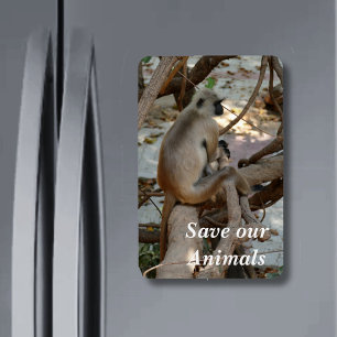 Grey Langur - Take a Rest Magnet