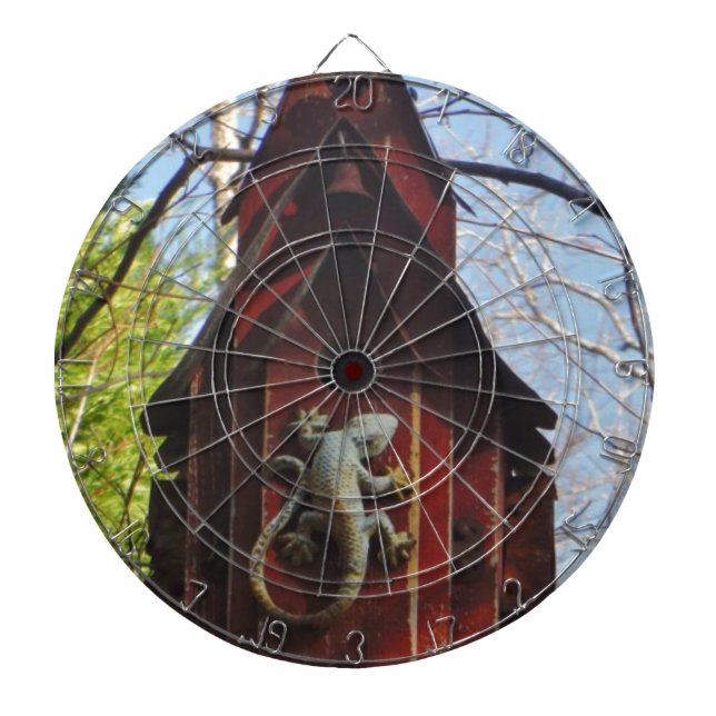 grey lizard on worn wood dartboard (Front)