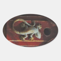 grey lizard on worn wood