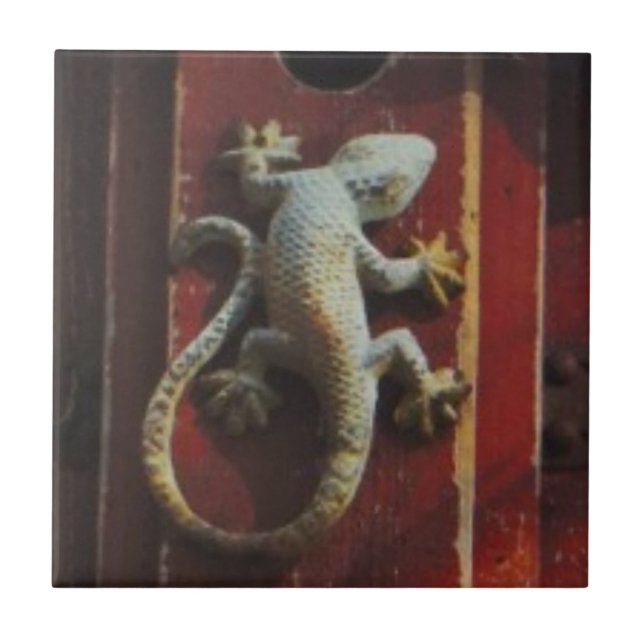 grey lizard on worn wood tile (Front)