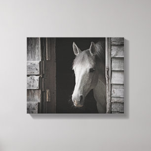 Grey Mare Horse B&W HORSES Wrapped Canvas