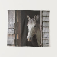Grey Mare Horse Horses Animals