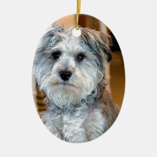 Grey Miniature Schnauzer Ceramic Tree Decoration (Front)