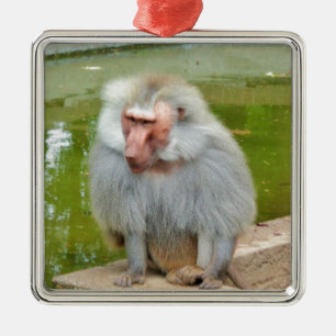 Grey Monkey, Ape Macaque, Nature, Animal Wildlife Metal Tree Decoration