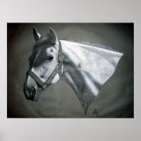 Grey on Grey Equine Art