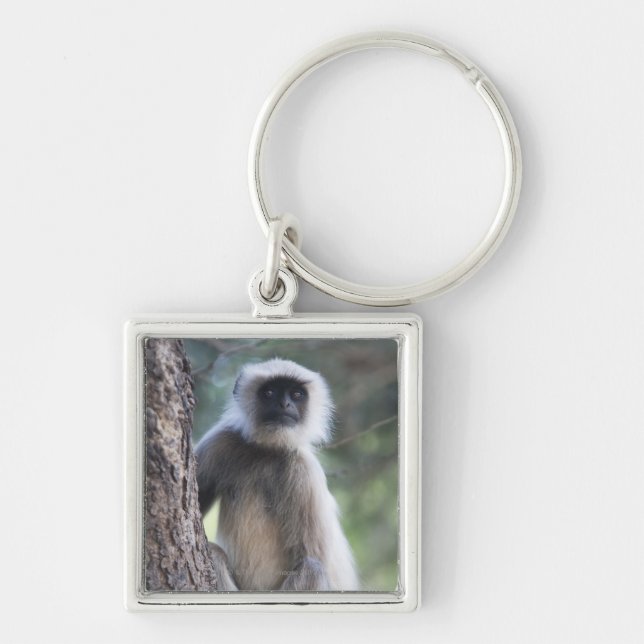 Grey or common or Hanuman langur Key Ring (Front)
