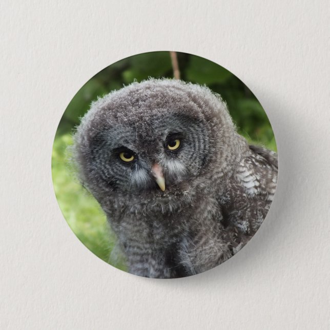 GREY OWL  6 CM ROUND BADGE (Front)