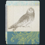 Grey Owl on Pattern Background iPad Cover<br><div class="desc">Feeling artsy? Get this contemporary drawing of a grey owl on a collage-inspired background. The background is colourful and includes tones of blue,  grey and green. This fine art print will brighten any living room,  bathroom or bedroom.</div>