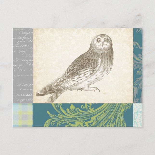 Grey Owl on Pattern Background Postcard (Front)