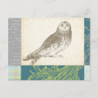 Grey Owl on Pattern Background