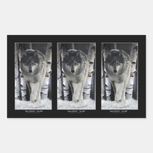 GREY PACK WOLF Wildlife Supporter Artwork Rectangular Sticker