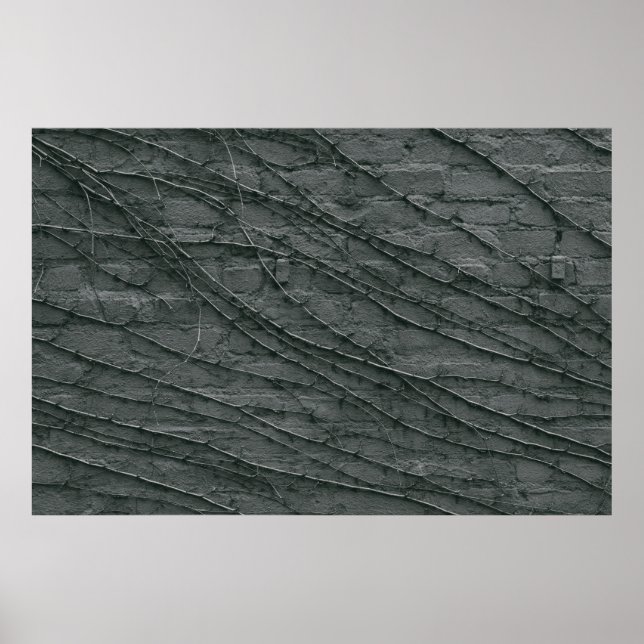 Grey painted brick wall poster (Front)