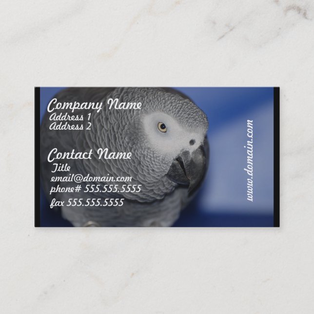 Grey Parrot Business Card (Front)