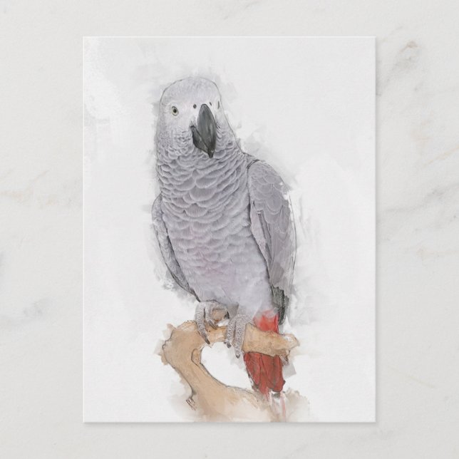 Grey Parrot Portrait Faux  Postcard (Front)