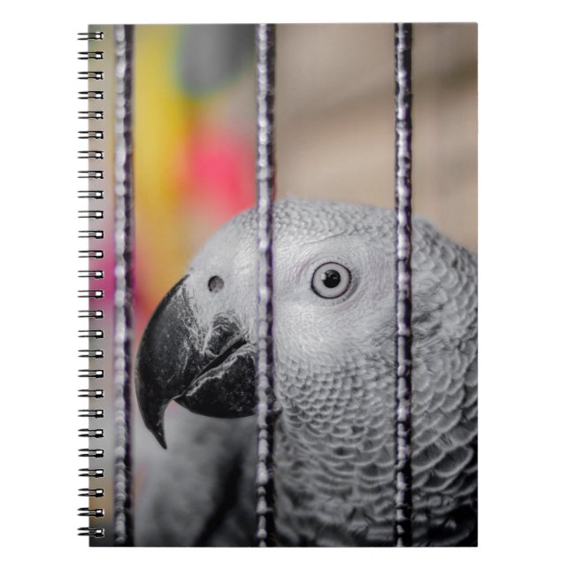 Grey Parrot Spiral Notebook (Front)