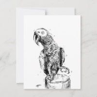 Grey Parrot
