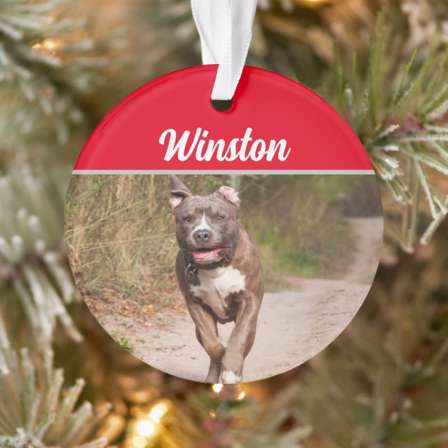 Grey Pit Bull with Name and Photo Christmas Ornament (Tree)