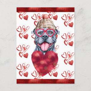 Grey Pitbull Hearts Dog Lover Valentine Gift Holiday Postcard