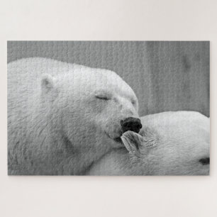 Grey polar bears photo jigsaw puzzle