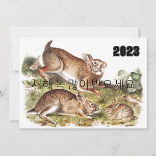 Grey Rabbit Happy New Year in Korean 2023 Invitation