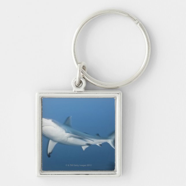 Grey reef shark (Carcharhinus amblyrhynchos) Key Ring (Front)