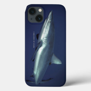 Grey Reef Shark in Yap Micronesia iPhone 13 Case