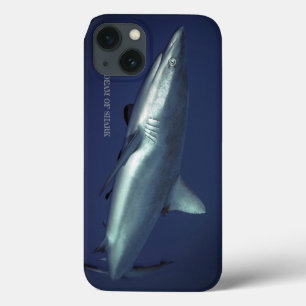 Grey Reef Shark in Yap Micronesia iPhone 13 Case