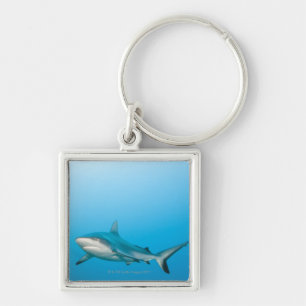 Grey reef sharks (Carcharhinus amblyrhnchos) Key Ring