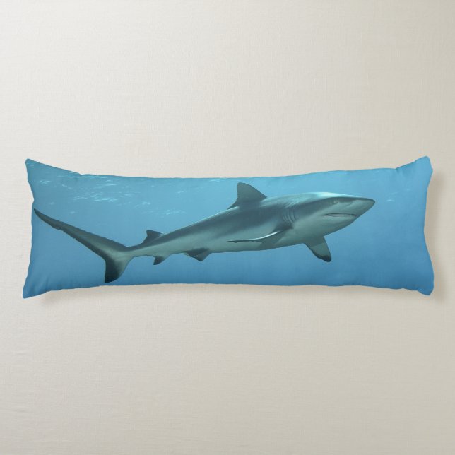 Grey Reefshark at coral reef of Yap Island |  Body Cushion (Front)