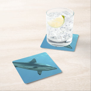 Grey Reefshark at coral reef of Yap Island    Paper Coaster