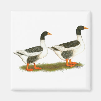 Grey Saddleback Geese Magnet