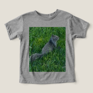 Grey Sciuniri (squirrel) on
