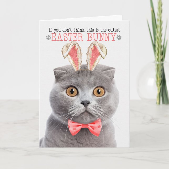 Grey Scottish Fold Cutest Easter Bunny Kitty Puns Holiday Card (Front)