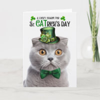 Grey Scottish Fold Lucky Charm St CATrick's Day
