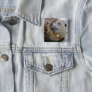 Grey Seal on Ice 15 Cm Square Badge