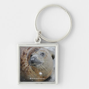 Grey Seal on Ice Key Ring