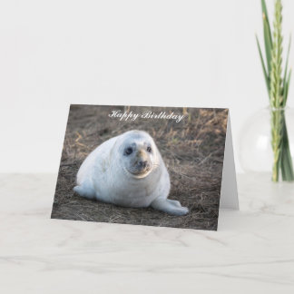 Grey Seal pup Birthday Card