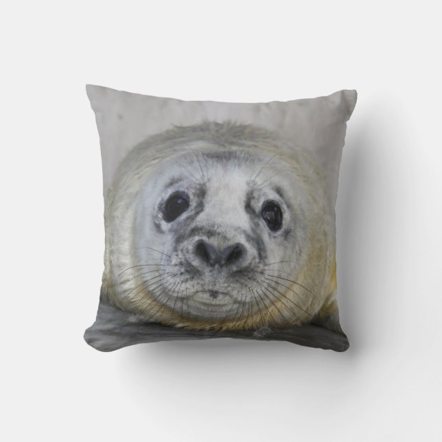 Grey Seal Pup Cushion (Front)
