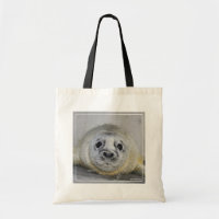 Grey Seal Pup