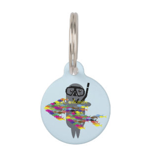 Grey Seal Thunder_Cove  Pet Tag