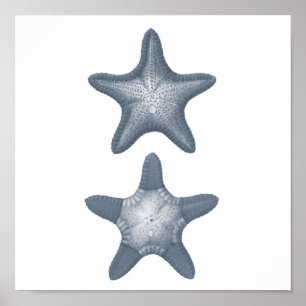 Grey Sealife Group12A print #10 Starfish
