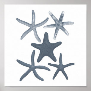 Grey Sealife Group12A Print #3 Starfish