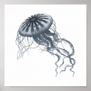 Grey Sealife Group 12A Print #2 Jelly fish