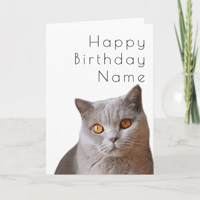 Grey Short Haired Cat Art Deco Birthday Card (Front)