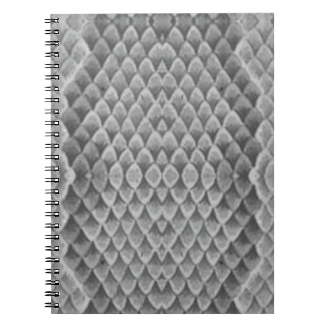Grey Snakeskin Spiral Notebook (Front)