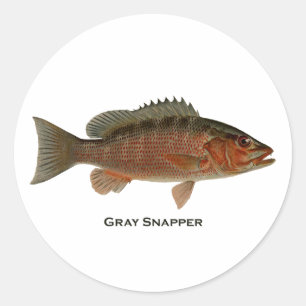 Grey Snapper Logo Classic Round Sticker