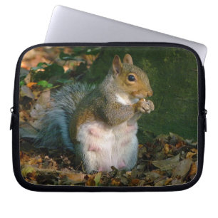 Grey Squirrel 02 Laptop Sleeve